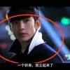 word官方下载免费完整版手机版